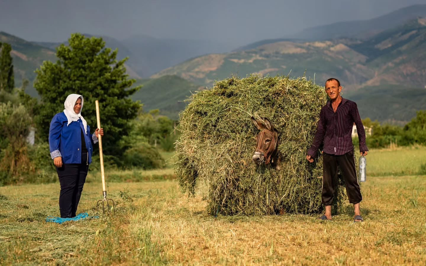 Small local producers in Albania 