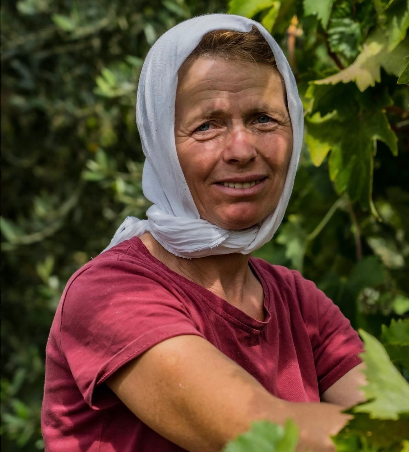 Albanian women working in the vineyards 