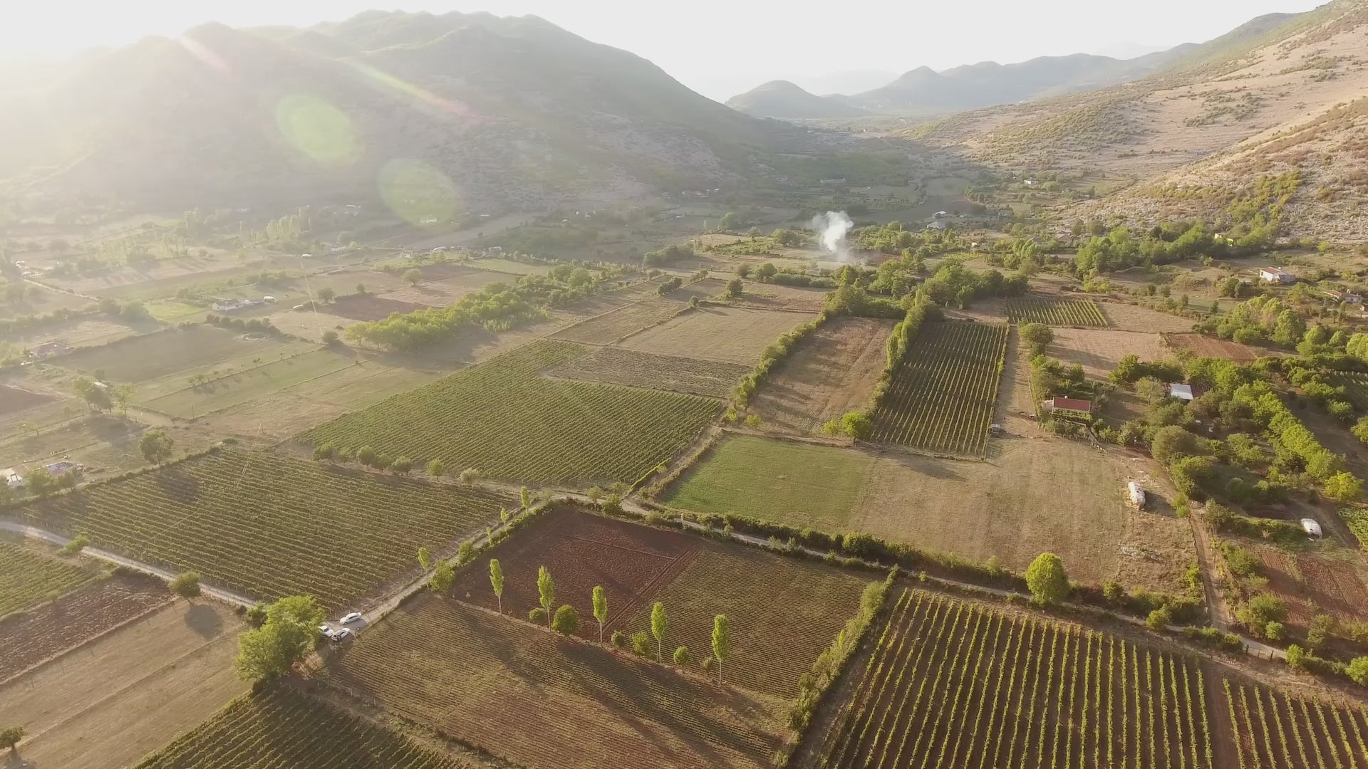 Load video: view Medaur Winery vineyards in Albania