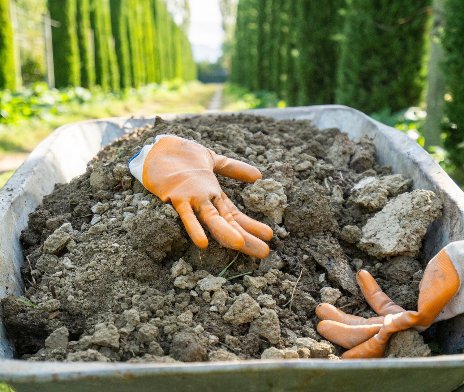 wheelbarrow in Albania 
